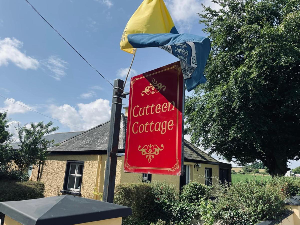 Cutteen Cottage Tulla 外观 照片